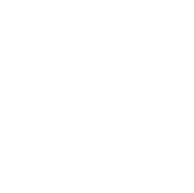 MYS Transport